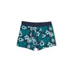 HNX UNDERWEAR Bitki Desen Pamuklu Erkek Boxer Bitki Yeşil 2XL hnxNM6014