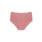 HNX UNDERWEAR Vizon Yüksek Bel Büyük Beden Dantel Detaylı Pamuklu Bato Kadın Külot Vizon 2XL hnxNM2823