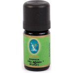 Ho Ağacı ( Kafur ) Yağı - Organik 10 ml - Şeffaf
