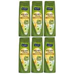Hobby Şampuan Keratin Kafein Kuru Ve Cansız Saçlar Hyaluronik Asit 480 Ml X 6 Adet