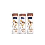 Hobby Şampuan Kuru Ve Yıpranmış Saçlar İçin Argan&Papatya 500ml 3'Lü