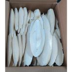 Hobi Kuşlar Için Mürekkep Balığı Kalamar Kemiği Orta Boy 8-12 cm 3 Adet