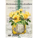Hobi24 A3 29x42 cm 3553 Pirinç Dekupaj Kağıdı
