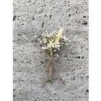 Hobigram Damat Yaka Çiçeği 8