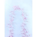 Hobigram Koyu Pembe İncili Sarkıt