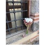 Hobigram Pembe Cipsolu Buğdaylı Islak Lale Gelin Çiçeği Ve Yaka Çiçeği