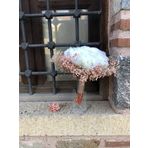 Hobigram Pembe Krem Cipsolu Krem İri Güllü Gelin Buketi Ve Yaka Çiçeği