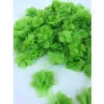 Hobigram Yeşil Gül Lazer Kesim Çiçek 1 Metre 12-13 Adet Organze Tül Kenar Süsü
