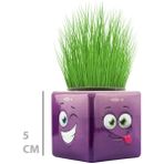 Hobilinka Çim Adam Mini Küp Emoji Figürlü 1 Adet - 1 lt - Renkli