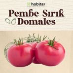 Hobitar Pembe Sırık Domates Tohumu - 1 gr