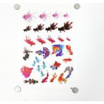 Hobizubi Reçine Epoksi Sticker - Balık 2 - Şeffaf