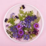 Hobizubi Reçine Epoksi Yuvarlak Tepsi Kalıp 30 cm - T 15 - Şeffaf
