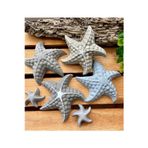 Hogart Design Deniz Yıldızı Mum Sabun & Kokulıutaş Silikon Kalip