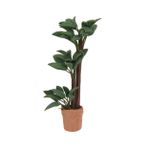 Hohopeti Minyatür Saksı Bitkisi 1/12 Ölçekli Demir Dracaena Bonsai Ayarlanabilir Yapraklar Ev Ve Için