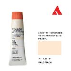 Holbein D-014 Pale Peach 20 ml Guaj Boya