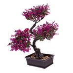 HOLIDYOYO yapay bitki bonsai sahte laleler yapay çiçekler Masa Orta Parçası Dekoru yapay ağaçlar büyük sahte bitki oda ev dekorasyon home decor sahte bonsai yapay bitki süsleri plastik