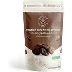 Holistic Corner Sun-Dried Apricot Kuru Kayısı | 100G