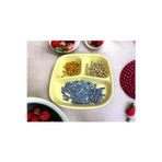 Holly Home 1 Adet 3 Bölmeli Kahvaltı Tabağı Plastik Piknik Çerez Yemek Servis Tabağı Sarı 21,5X23X3,5Cm