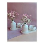 Home 2 Li Pampas Vazo Set Lotus Tealight Mumluk Şık Sunum altlığı Tv Ünitesi Mutfak Kış Bahçesi Raf Süsü