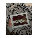Home Emass Anı Köşesi Hatıra Panosu Ahşap Derinlikli Kuru Çiçek Çerçevesi 20 X 15 X 5 Beyaz Plastik Camlı
