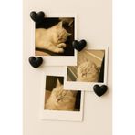 Home Mat Siyah 5'li Kalpli Magnet Seti – Fotoğraf ve Not Tutucu, Buzdolabı Süsü, Güçlü Mıknatıs, Dekorati
