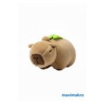 Home MAVİMAKRO Kapi Oyuncak Pelüş Kırlent