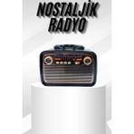 Home Müzik Kutusu Bluetooth Bağlantılı El Fenerli Nostaljik Tasarım Radyo - Çok Renkli