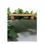 Home OVAL AHŞAP SUNUM/DEKOR STANDI (kayın ağacından üretilmiştir)