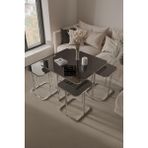 Home Plus Mobilya 4+1 Gümüş Kaplama Füme Ayna Radüslü Orta Sehpa - Gümüş Füme