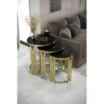 Home Plus Mobilya Posedion Piyano 3'Lü Gold Siyah Zigon Sehpa Takımı