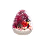 Home Terarum Rüya Gibi Evimiz Pembe-Işıklı