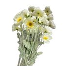 Home Yapay Gelincik Çiçeği 12 Dallı (3 Adet ) 1. Kalite , Toplam 12 çiçek 3ü Tomurcuk,60 cm