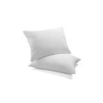 Homedius Antialerjenik Microfiber Yastık 2'li 103030010