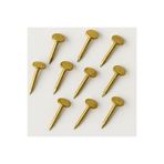 HOMEPACK Tablo Çivisi 10 Adet Çelik Sarı Çivi 3cm