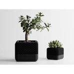 Homepod Square Dekoratif Saksı - Siyah Işlemeli Modern Bitki Saksısı 6 cm - 80x80x65mm