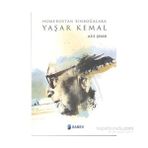 Homerostan Binboğalara Yaşar Kemal - Aziz Şeker