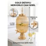 HomeTarz Cam Sebil - Yağlık, Şerbetlik, Sürahi - 6 Litre, 50 CM-7