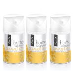 Homex Summer Kiss 260 ml Makine Yedek Sprey Oda Kokusu