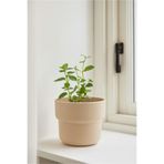 HOMİNG Homing Plastik Saksı Krem 11 cm SEH-4619