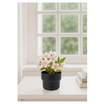 HOMİNG Homing Plastik Saksı Siyah 11 cm SEH-4620