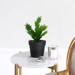 Homing Yapay Yeşil Bitki Siyah Saksılı