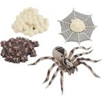 Honeyge Örümcek Plastik Yaşam Döngüsü Gerçekçi Modeli Figürinler Öğrenme Eğitici Oyuncak (Yurt Dışından) - Renkli