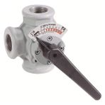 Honeywell DR25GMLA ( DN25) Rekorlu Rotary Üç Yollu Vana Gövdesi