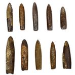 HOOTNEE Balık Oku Taş Fosili Bulmaca Oyuncaklar Deniz Canlısı Fosilleri Paleontoloji Fosilleri Bilim Fosili Paleontoloji Örneği Deniz Yaşamı Fosilleri Antik Tibet Okyanus Cevher Çocuk