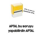 HOPENA Bu Soruyu Yapabilirdin Özel Tasarım Siyah Kaşe