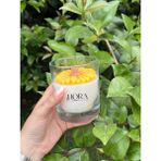 Hora Candle Atelier Ay Çiçeği/papatya Mum - Beyaz - Sarı