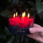 Hora Candle Atelier Gül Kase Mum - Siyah - Kırmızı