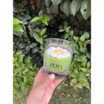 Hora Candle Atelier Papatya Mum - Beyaz - Yeşil