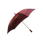 Horasan Ticaret Snotline Baston Şemsiye Bordo Desenli Bordo Unisex