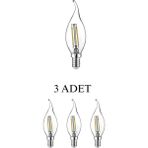 Horoz 001-014-0004 LED Filament Ampul 4W E14 Duy Beyaz Işık - 3’lü Paket - RGB